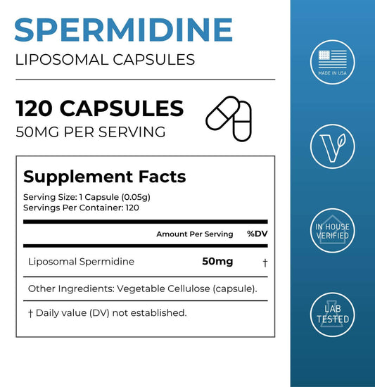 Spermidine